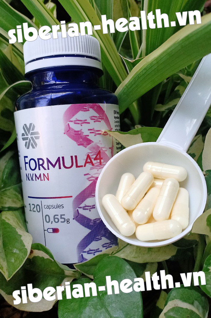 Novomin (Formula 4) Siberi