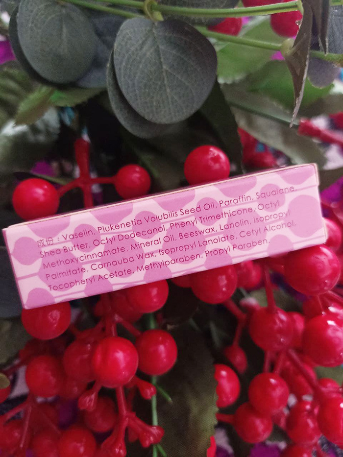 Lip Balm - Nourish SPF - 8 Dun Dun (4.5 gram)