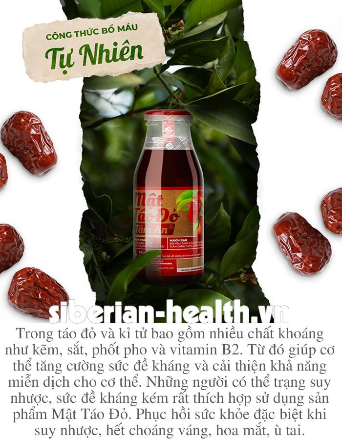 MẬT TÁO ĐỎ TÂM AN