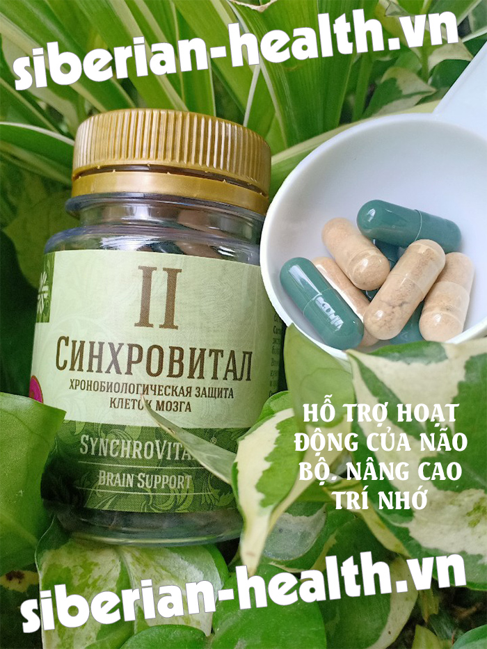 (Bổ não) Synchrovitals II