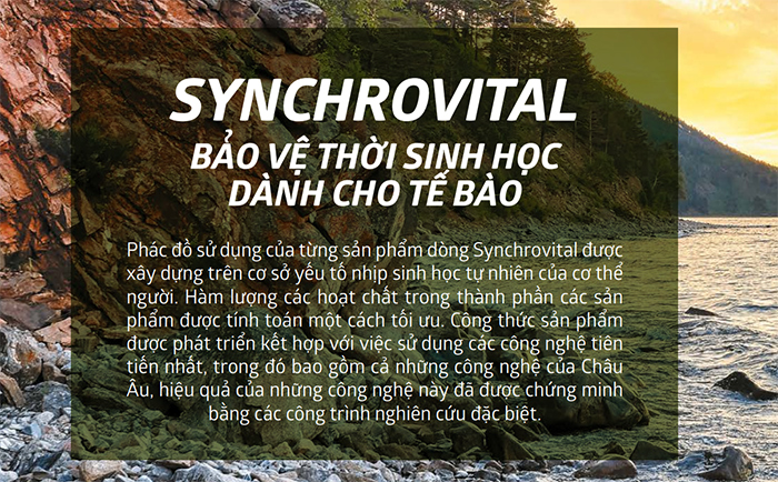 Thực phẩm bảo vệ sức khỏe Synchrovitals III