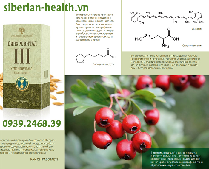 Thực phẩm bảo vệ sức khỏe Synchrovitals III
