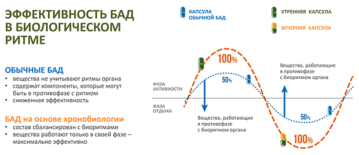 Thực phẩm bảo vệ sức khỏe Synchrovitals V