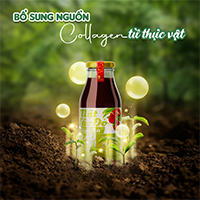 [Hàng chính hãng] Mật Táo Đỏ Rau Non Tâm An trẻ hoá tế bào, đẹp da, phục hồi sức sống