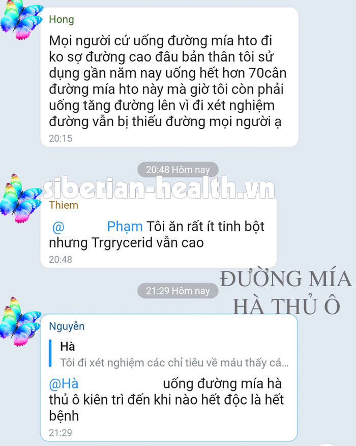 ĐƯỜNG MÍA HÀ THỦ Ô