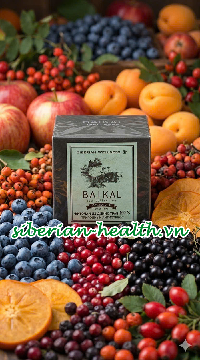 Review Trà Thảo Mộc Số 3 Siberian Wellness