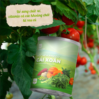 [Hàng chính hãng] Bột Nêm Rau Củ Cải Xoăn Tâm An