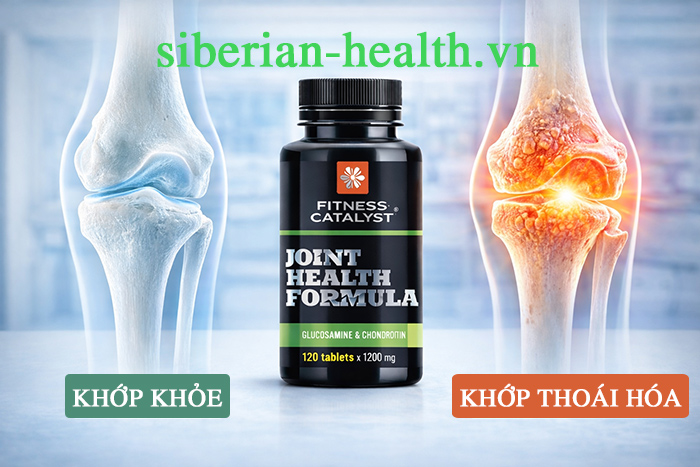 Fitness Catalyst. Glucosamine and Chondroitin